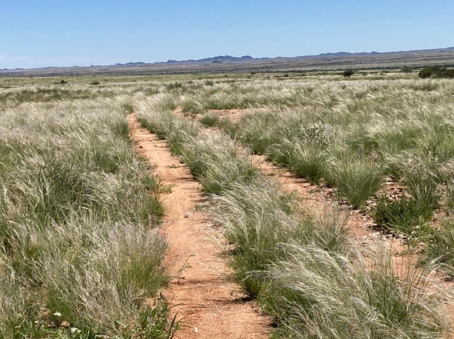 Commercial Property for Sale in Kenhardt Northern Cape